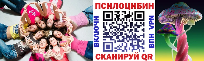 Псилоцибиновые грибы Cubensis  Менделеевск 
