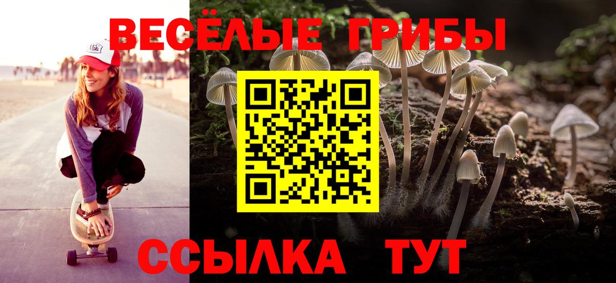 Менделеевск  Псилоцибиновые грибы мухоморы  Вход с VPN 