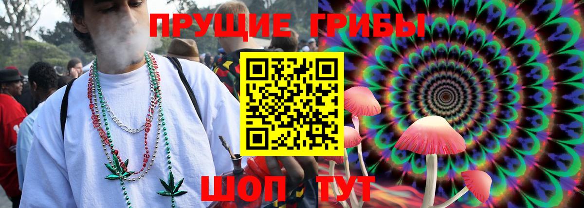 Псилоцибиновые грибы Psilocybe Менделеевск